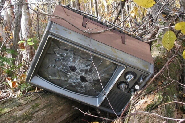 Une TV cassée au milieu des bois