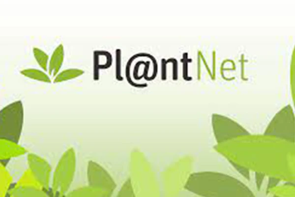 Logo de l'application Pl@ntNet