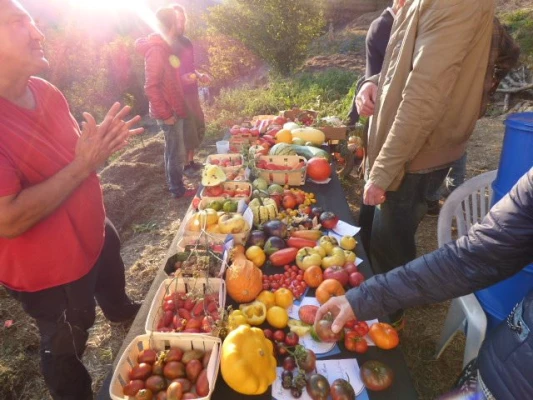 Une table pleine de fruits et légumes entourées de convives